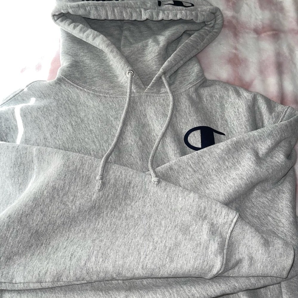Champion cropped hoodie